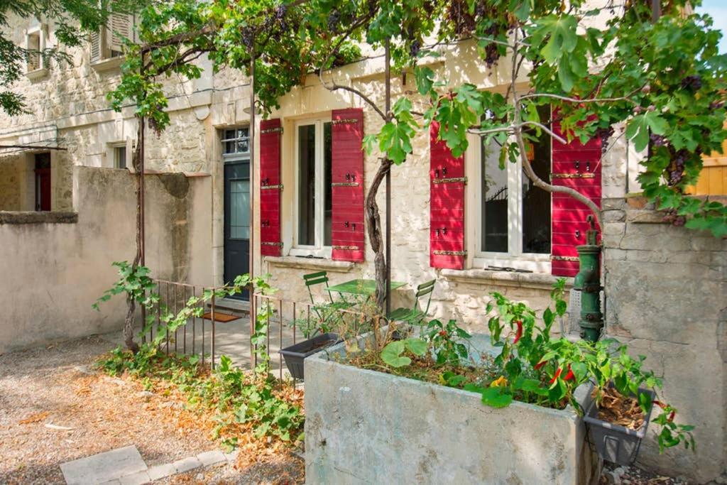 Mini Maison Studio Ancienne Renovee +Parking Avignon Eksteriør billede